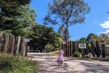 Tiny House 10 At Grampians Edge Villa Dadswells Bridge Kültér fotó